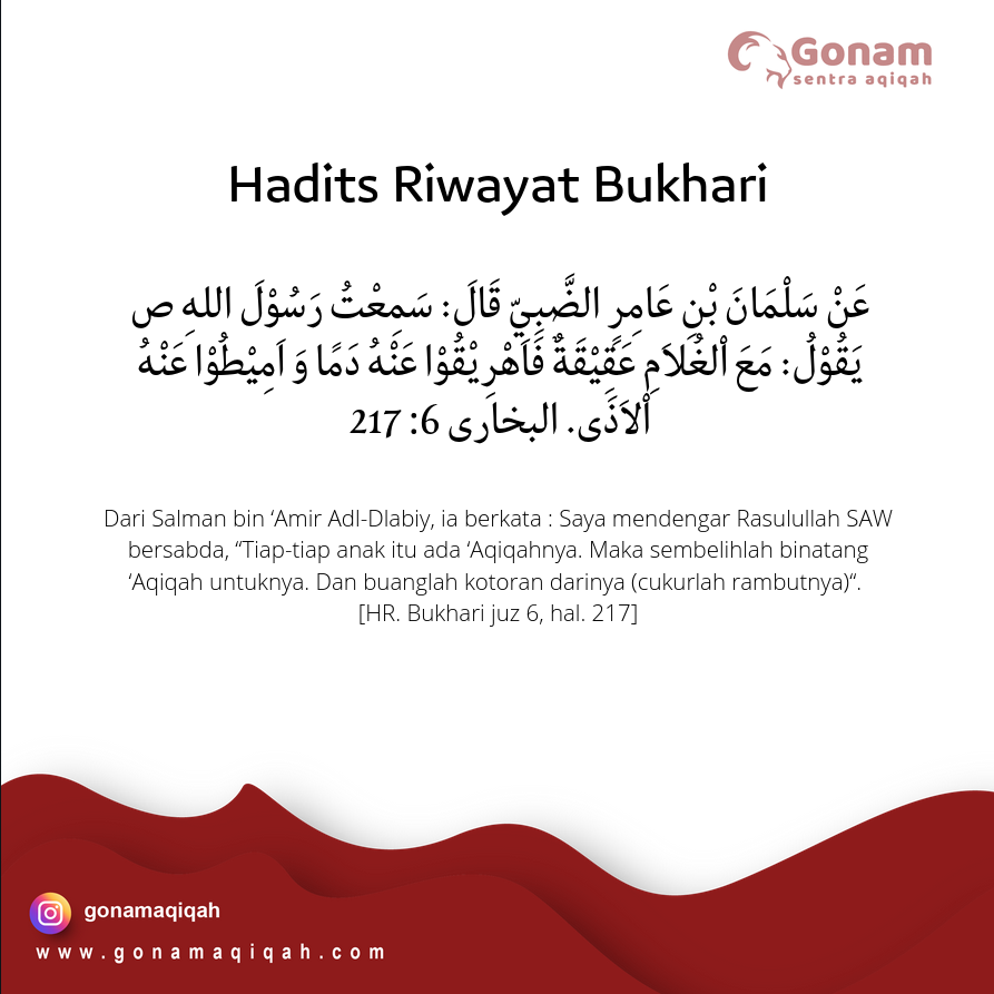 7 Dalil Hadits Tentang Aqiqah